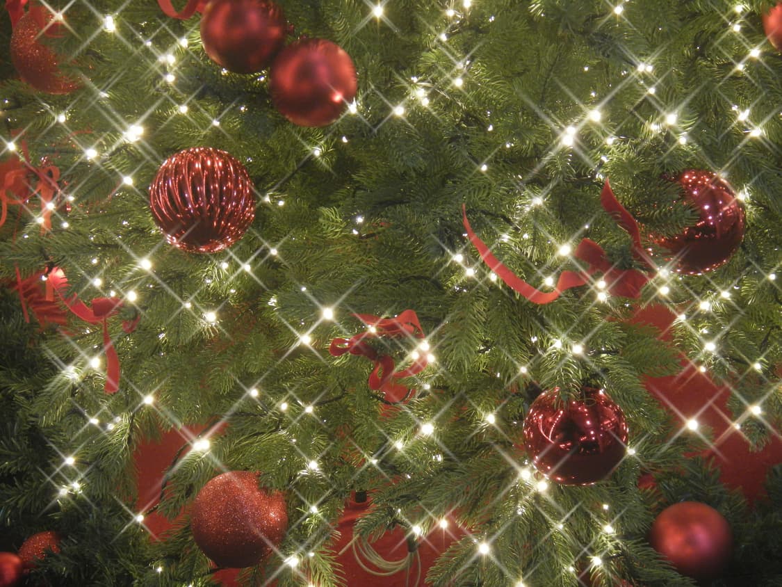 (작례)니콘 쿨픽스 aw100  상품이미지7