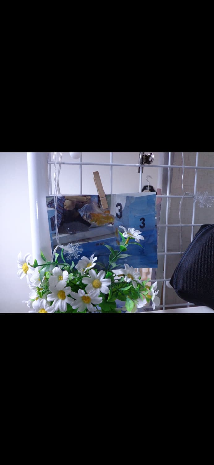 소니 Cyber-shot DSC-W650 / 선명한 색감의 데일리 감성  상품이미지3