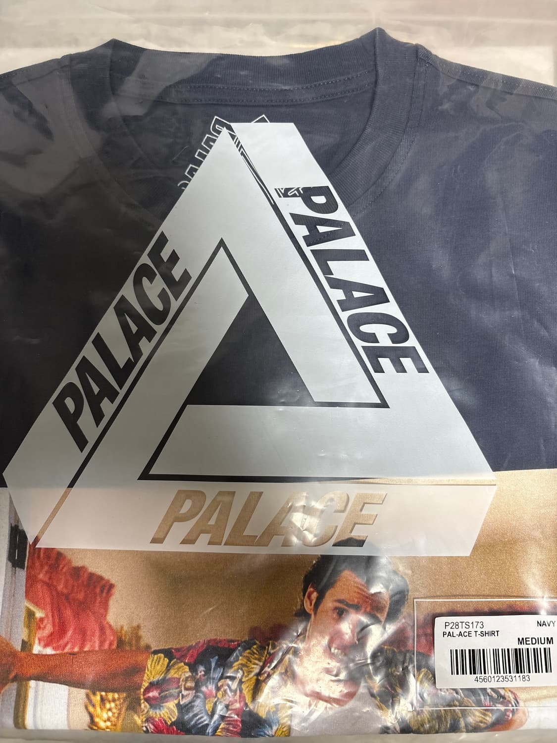 팔라스 팔 에이트 티-25ss 상품이미지2