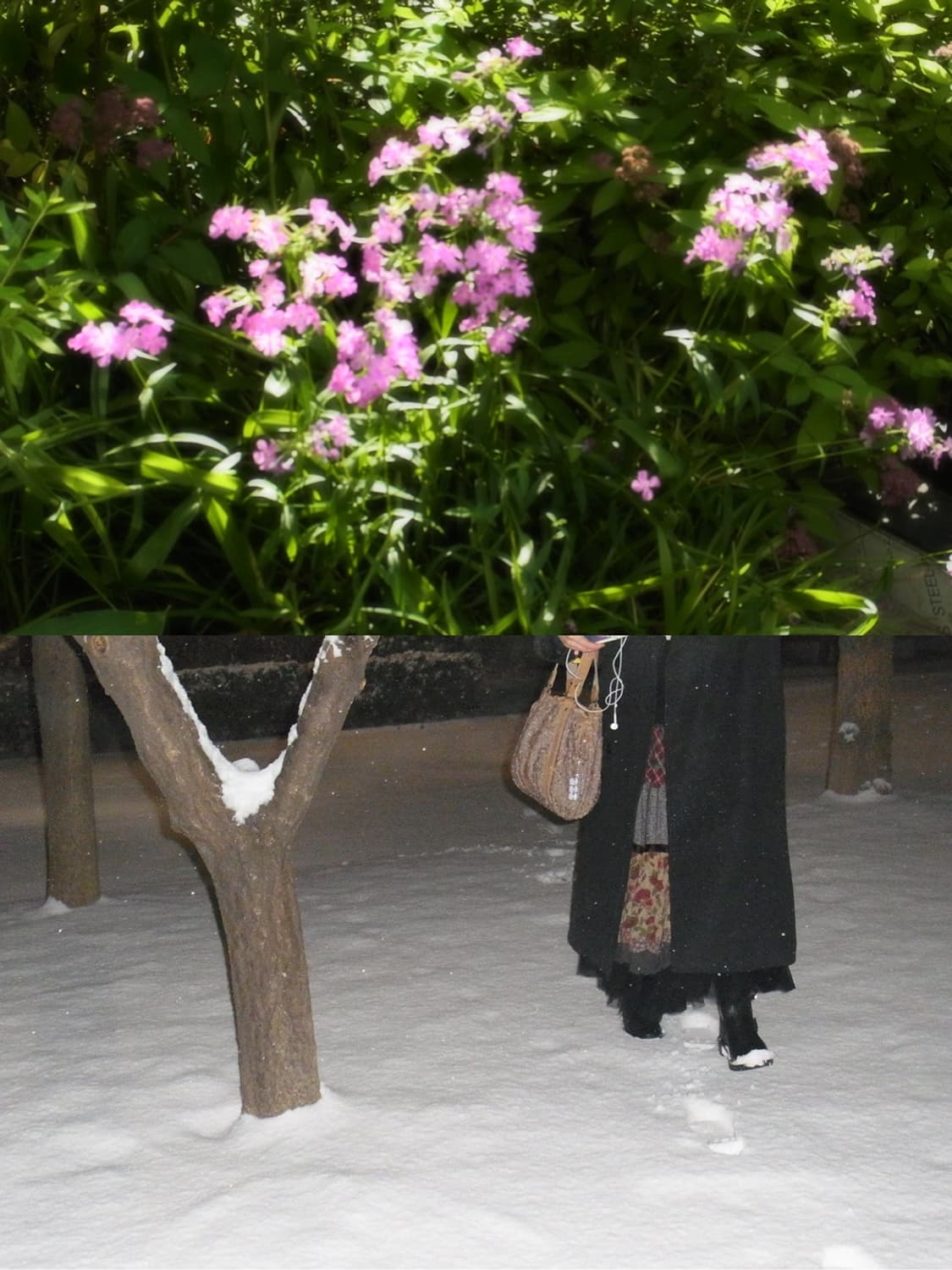 🌙 리코 CX4 🌙 빈티지 디카 상품이미지10