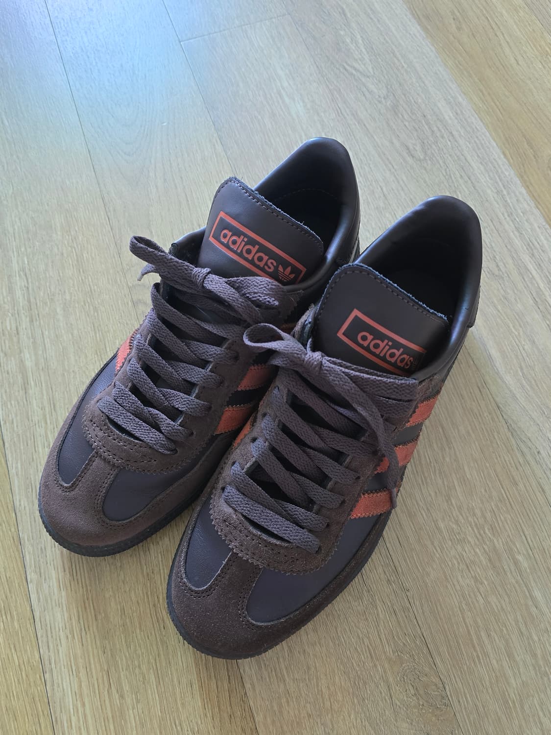 240 아디다스 핸드볼 스페지알 브라운 상품이미지3