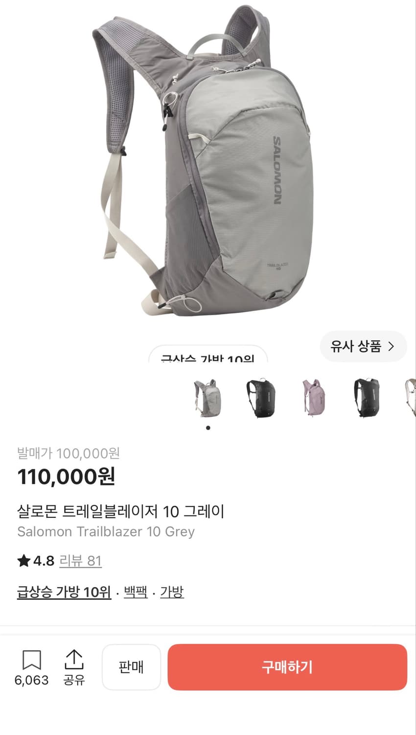 살로몬 트레일블레이저 10 그레이백팩 상품이미지1