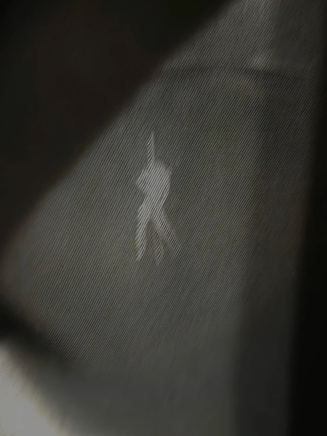 알렉산더왕 레오파드 자켓 상품이미지5