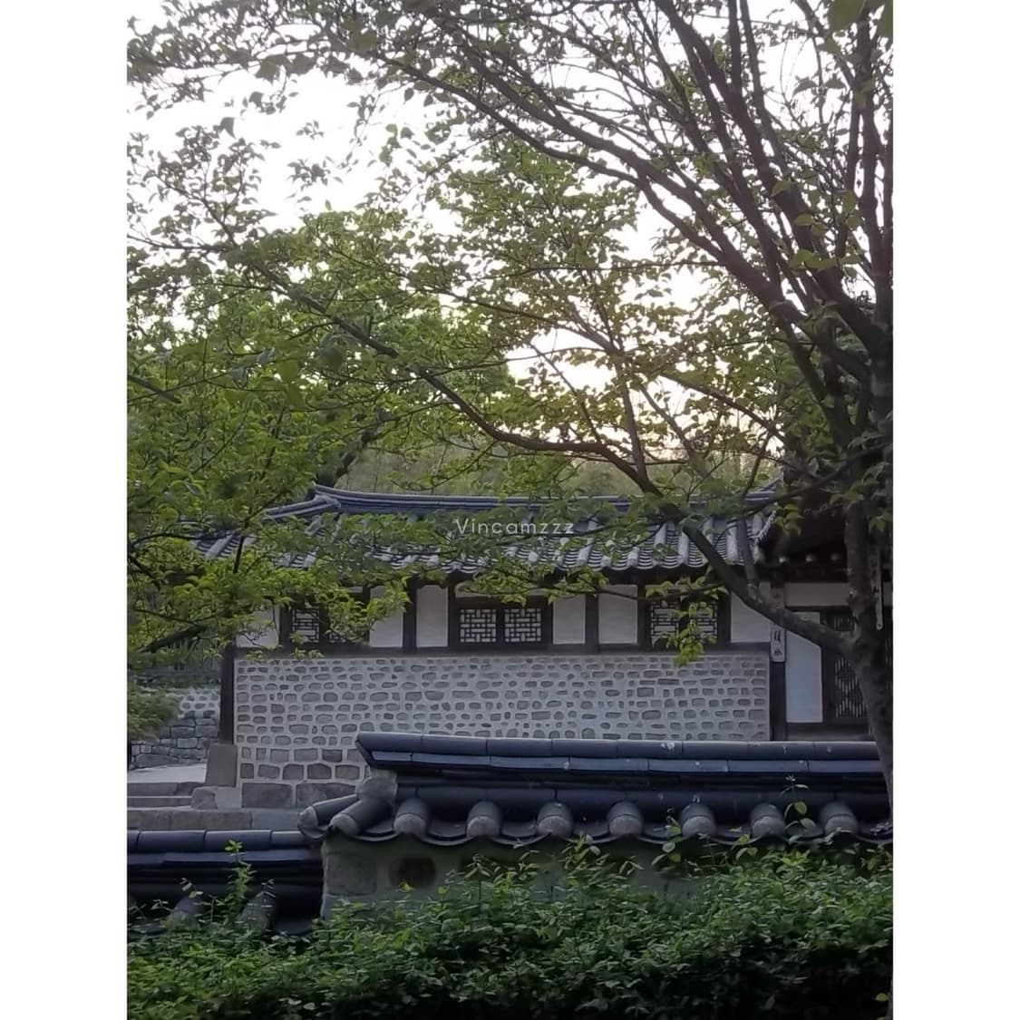 [키키카메라] Kodak 코닥 C143 디지털 카메라 상품이미지10