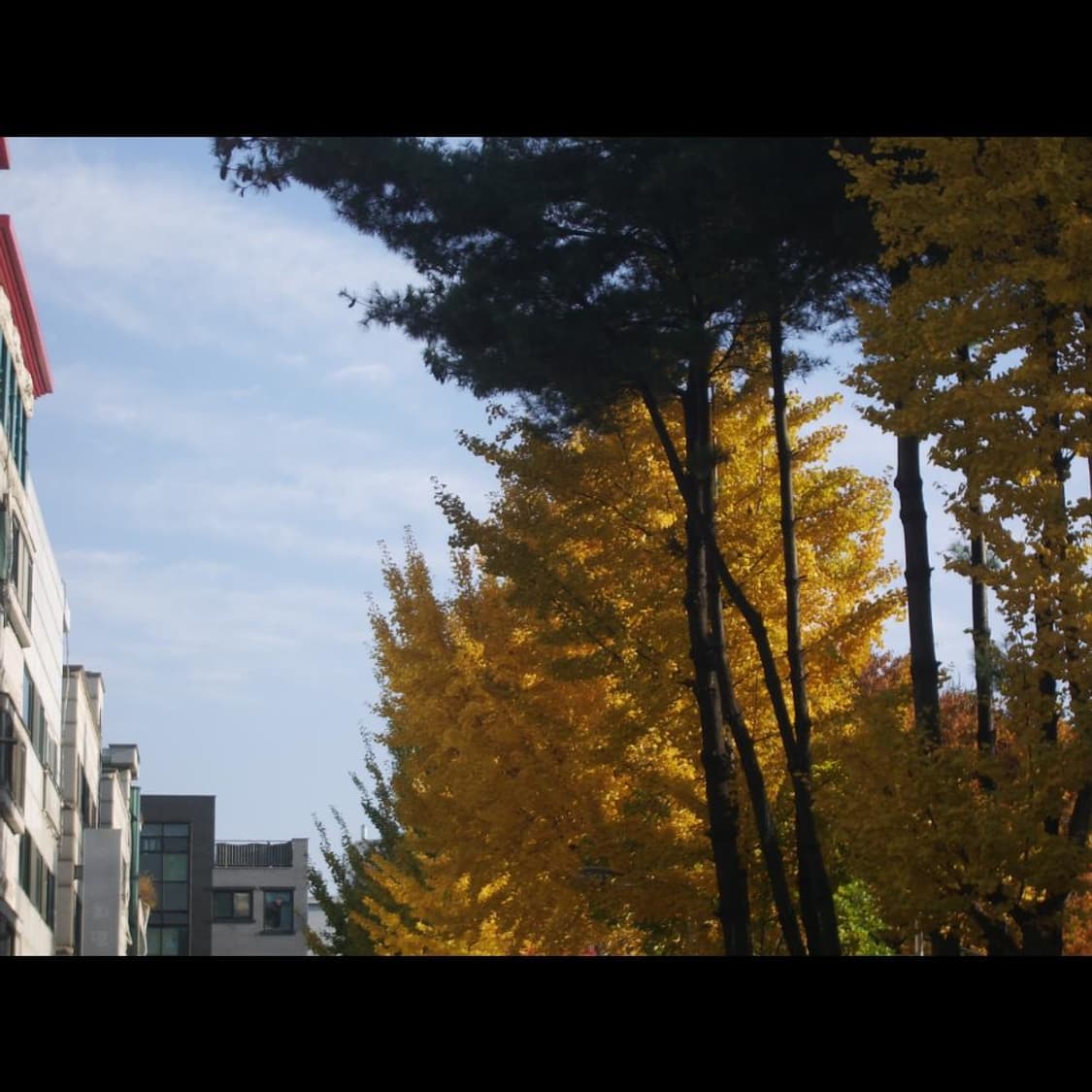 펜탁스 옵티오 E90  + 박스 메탈릭실버 💫 빈티지 디카 디지털카메라 상품이미지5