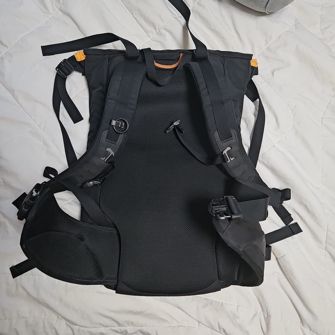 아크테릭스 백팩 상품이미지3