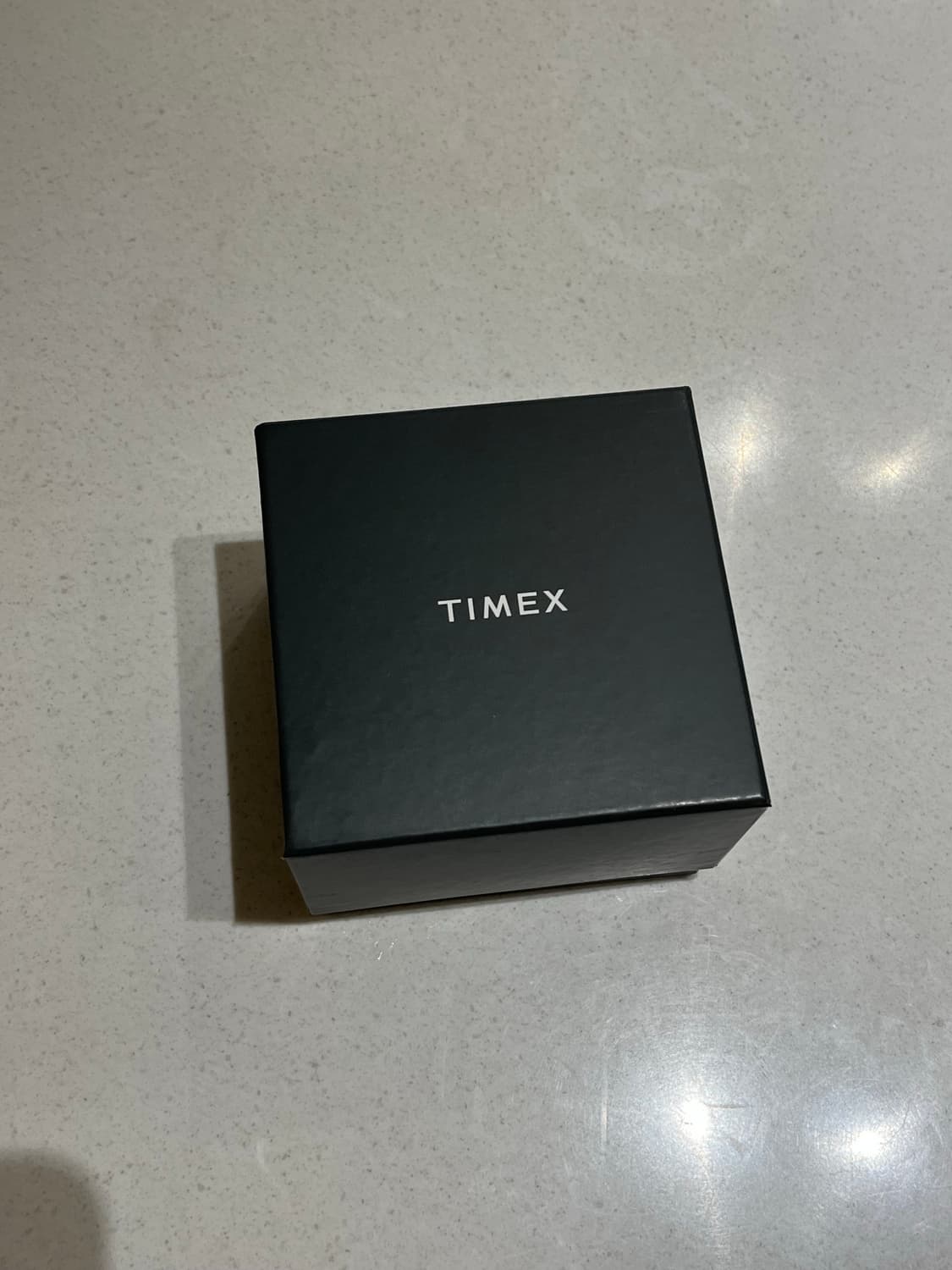 TIMEX 타이멕스 1983 reissue E-Line 오토매틱 상품이미지5