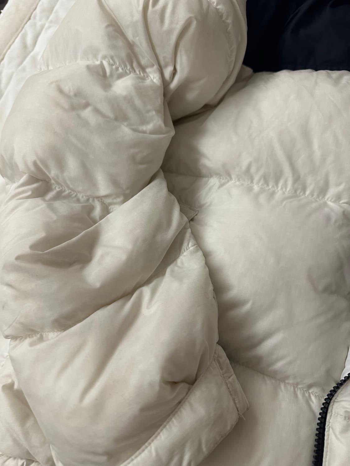 눕시 화이트 L 1996 에코 상품이미지4