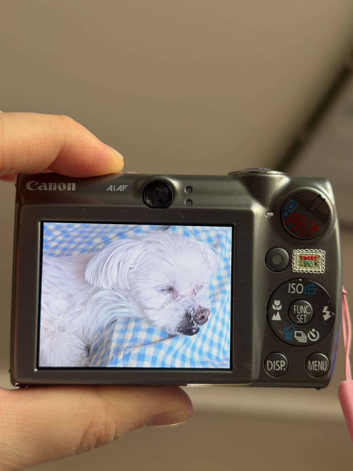 캐논 익서스 850is 상태좋음  상품이미지6