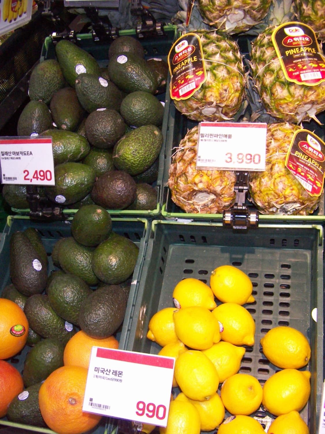 코니카 미놀타 디미지 X31 상품이미지8