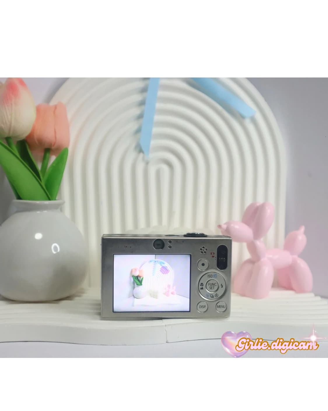 *인프루언서디카*캐논 익서스 70/ 익시 10 필름색감 끝판왕(직접체험) 상품이미지4