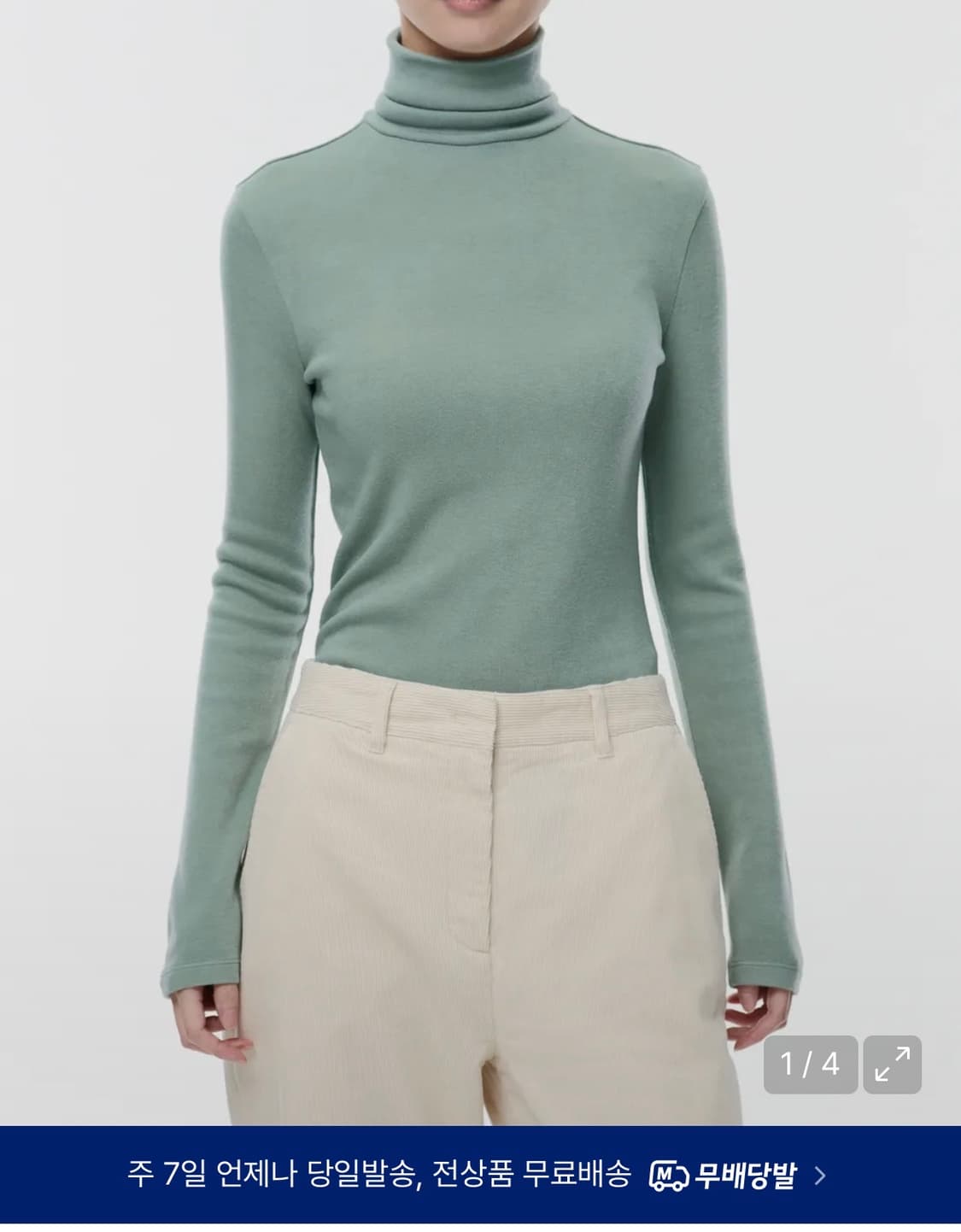 힛탠다드 우먼즈 속기모 슬림 터틀넥 긴팔티셔츠 [바질] 상품이미지1