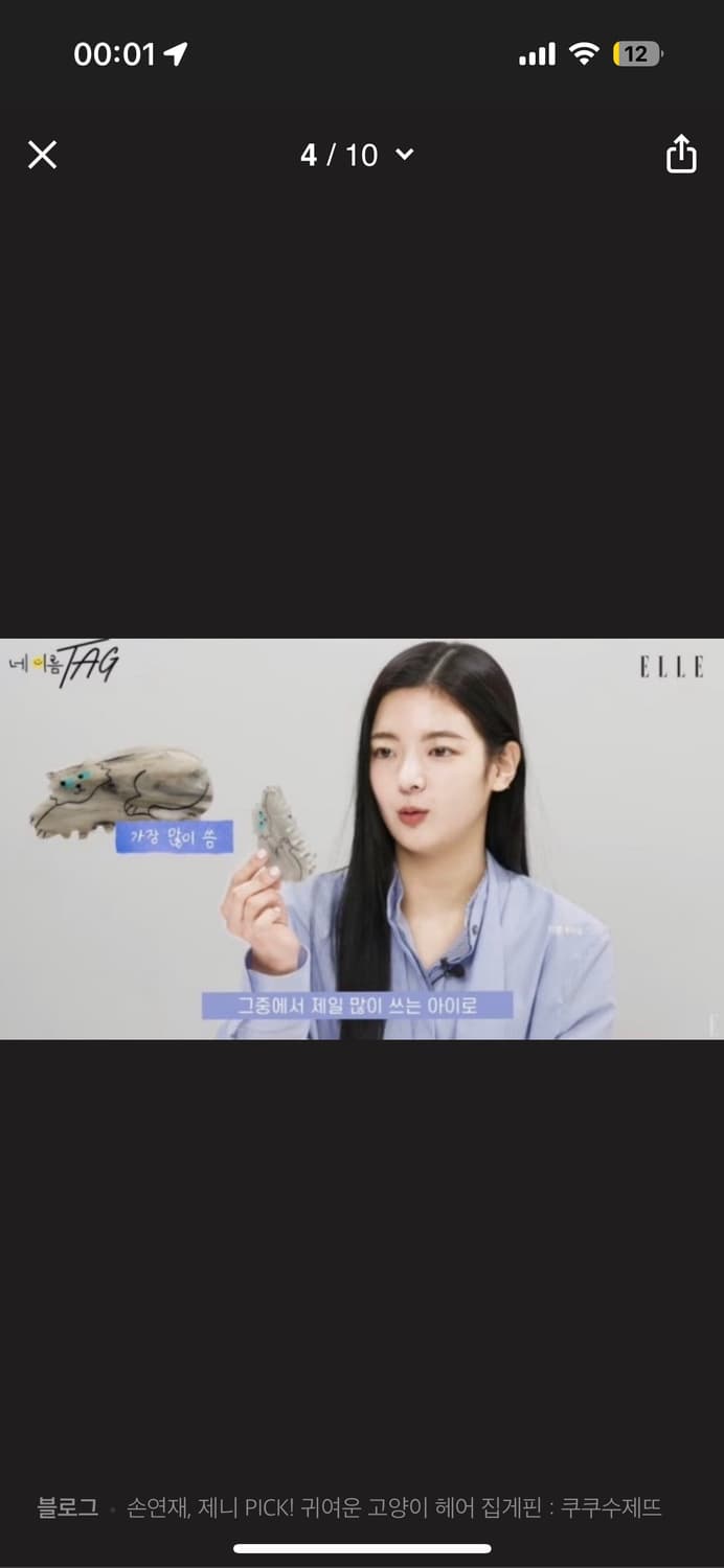 쿠쿠수제뜨 제니 착용 고양이 헤어클립 집게핀 상품이미지3