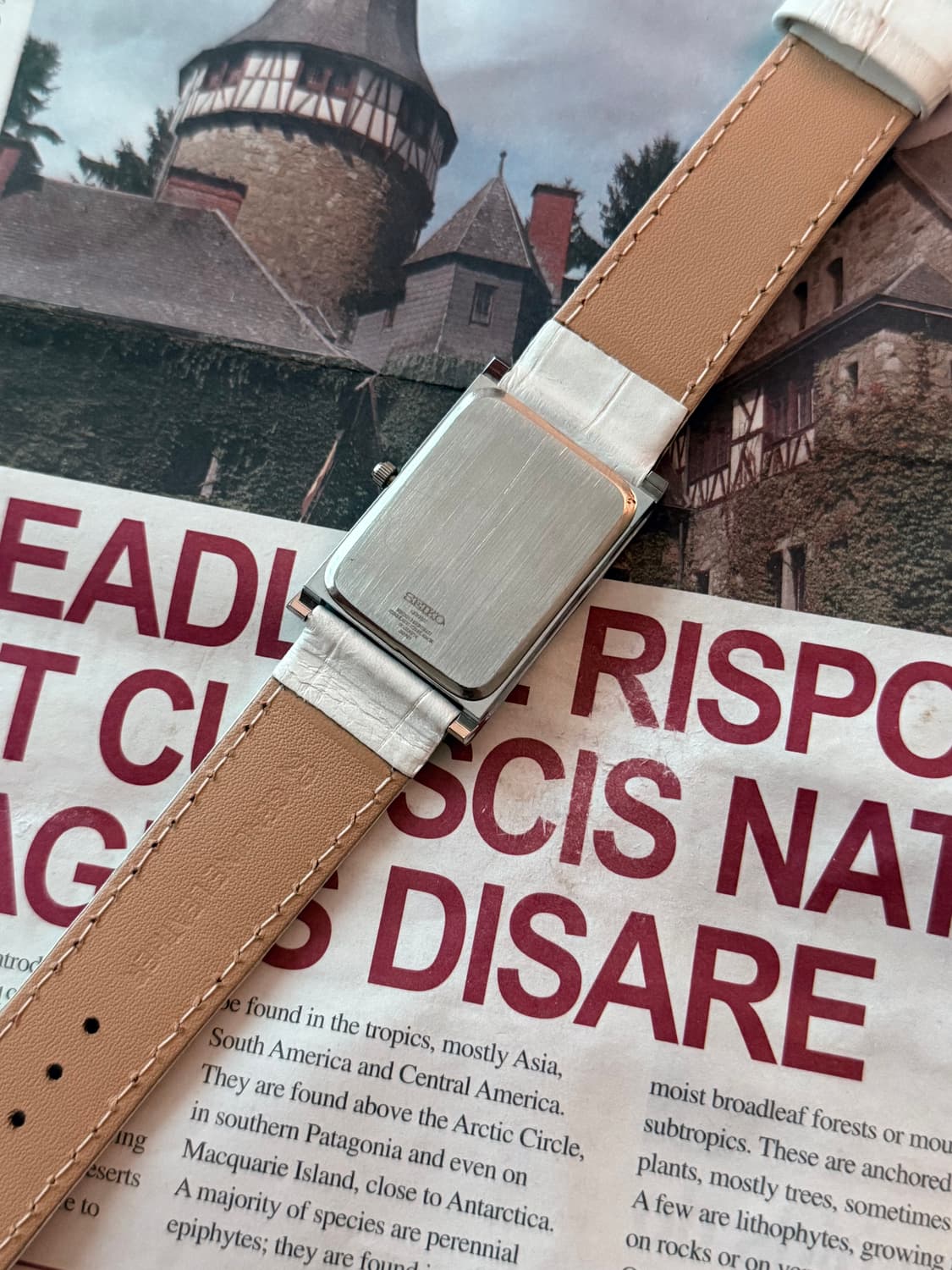 세이코 Seiko 쿼츠 탱크 화이트 상품이미지3