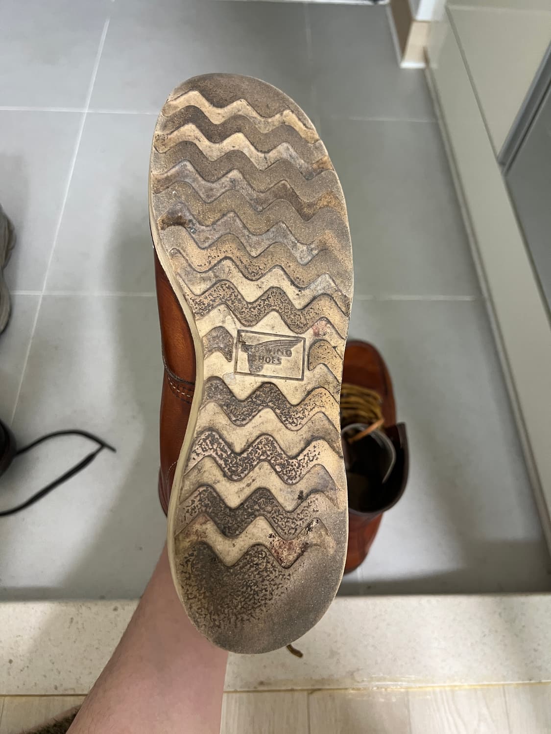 택포13) 레드윙 목토 875 7.5D 255 상품이미지4