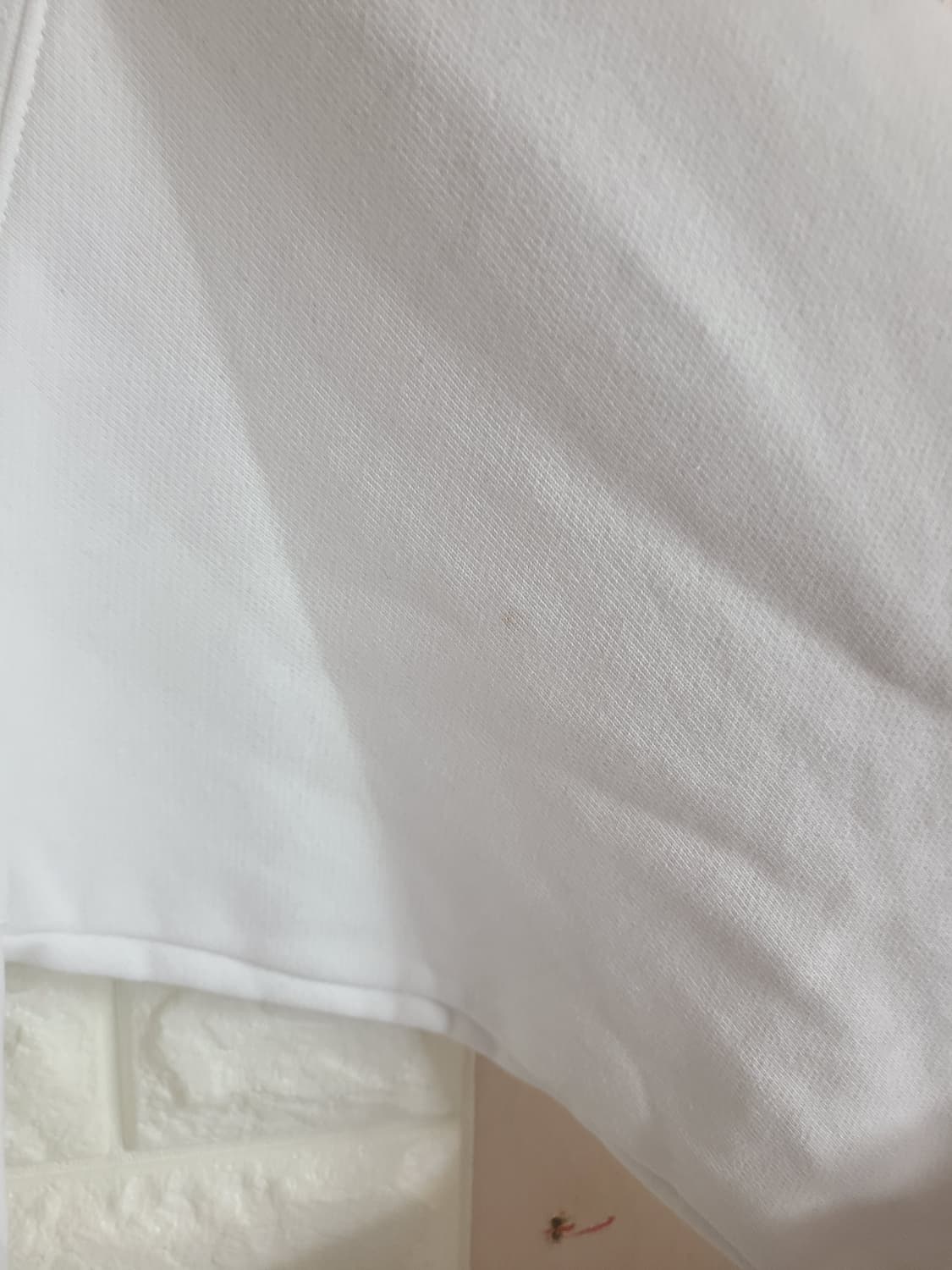 챔피온 리버스위스 맨투맨 티셔츠(실115) 상품이미지8