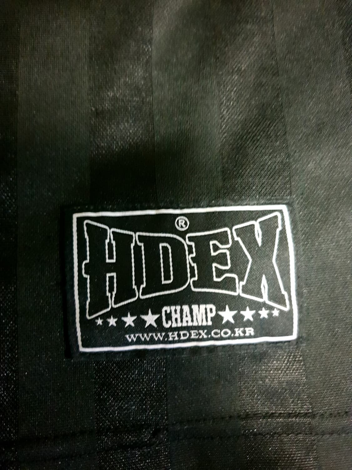 (25ss) HDEX 빅토리 스트라이프 카라 숏 슬리브 블랙 (2XL) 상품이미지5