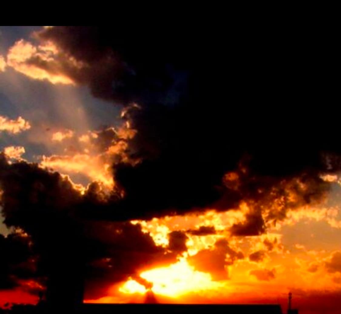 코니카 미놀타 디미지 Z1 상품이미지8