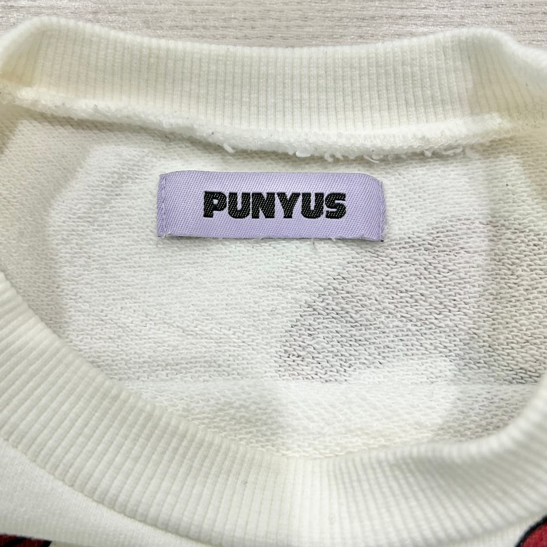 PUNYUS 오버사이즈 푸드 맨투맨 오시루코 일본 상품이미지4