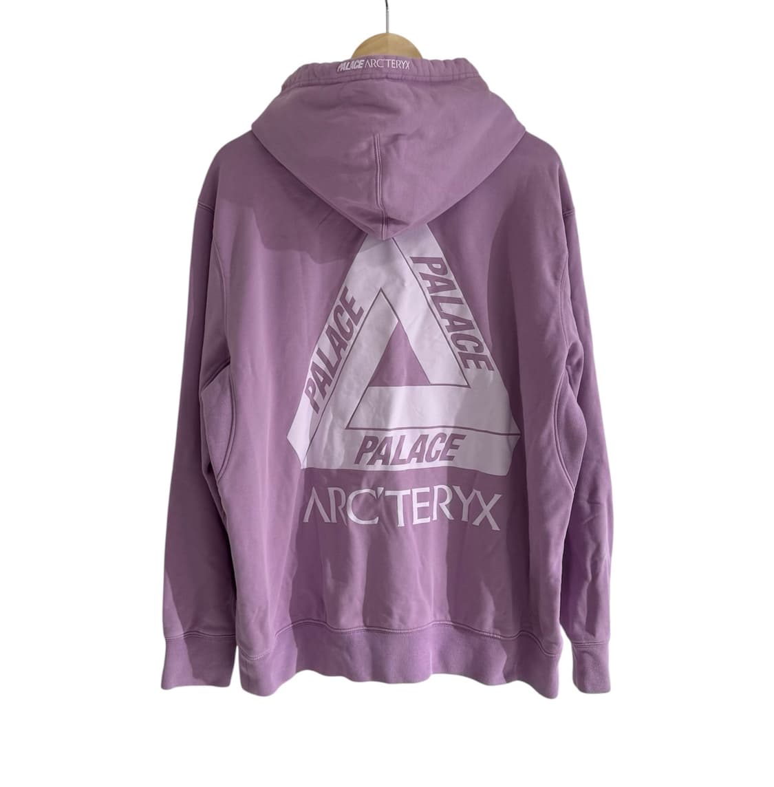 아크테릭스 X 팔라스 후드 헤이즈 상품이미지2