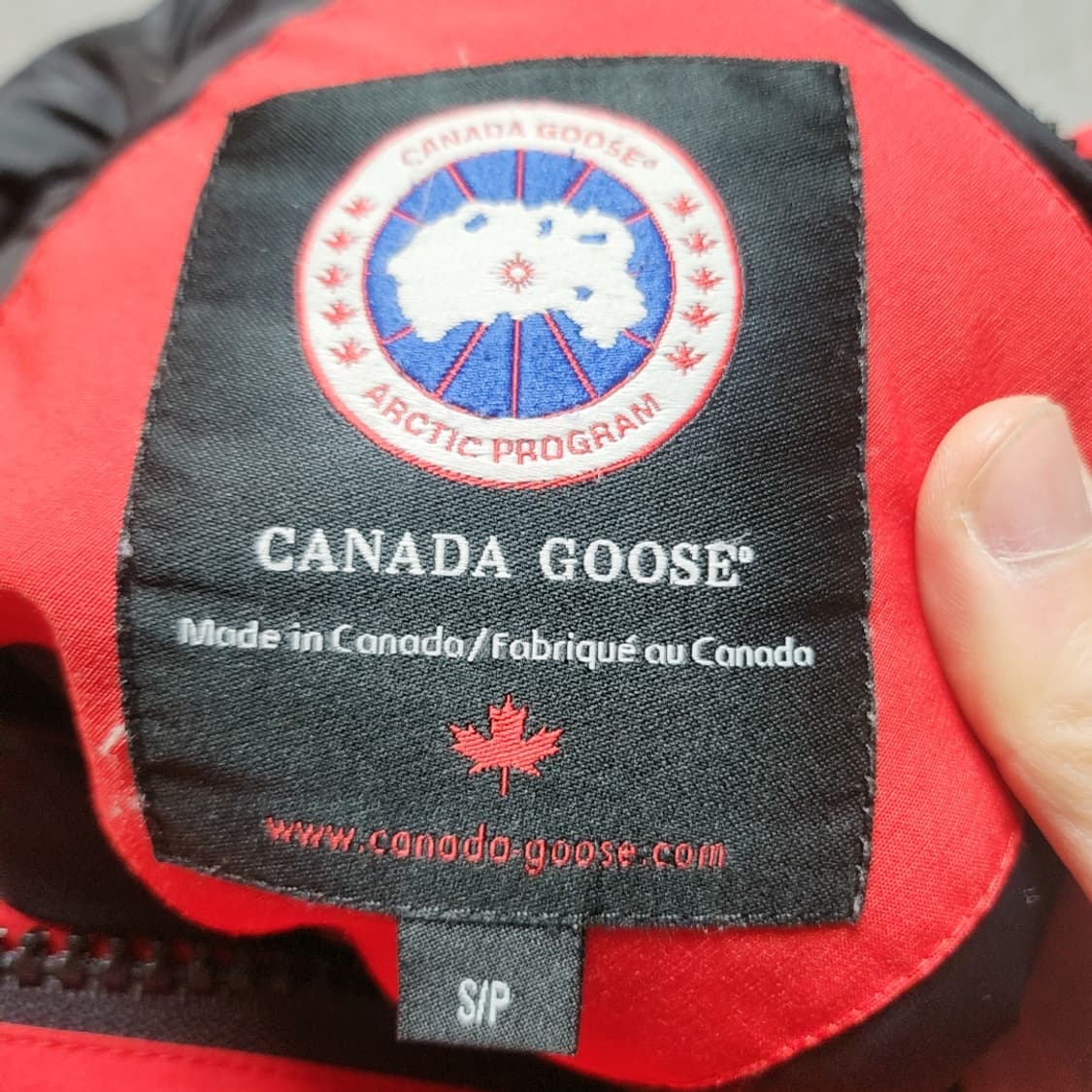 [S] 캐나다구스 숏패딩 상품이미지4