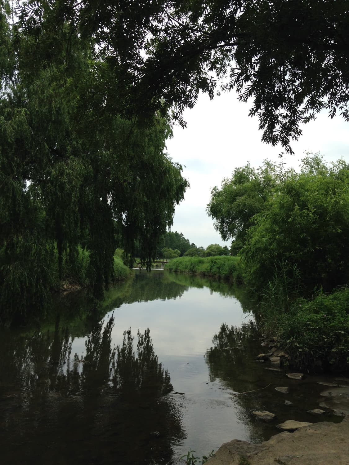 아이폰 5c (8기가,그린) 상품이미지10