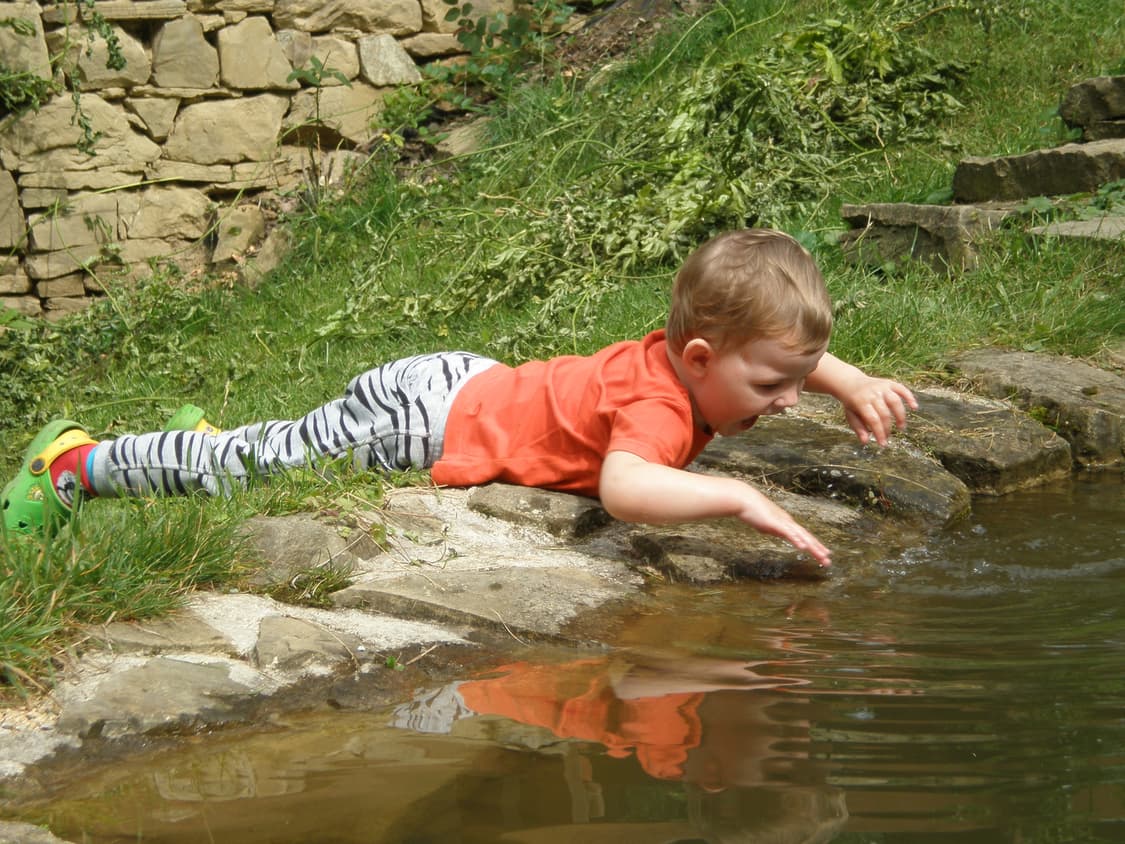 작례O 신품급 풀박스 올림푸스 fe 320 초소형 디지털카메라 빈티지 디 상품이미지4