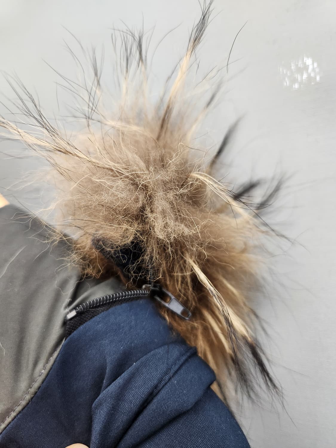 커버낫 울버린 다운패딩 상품이미지9