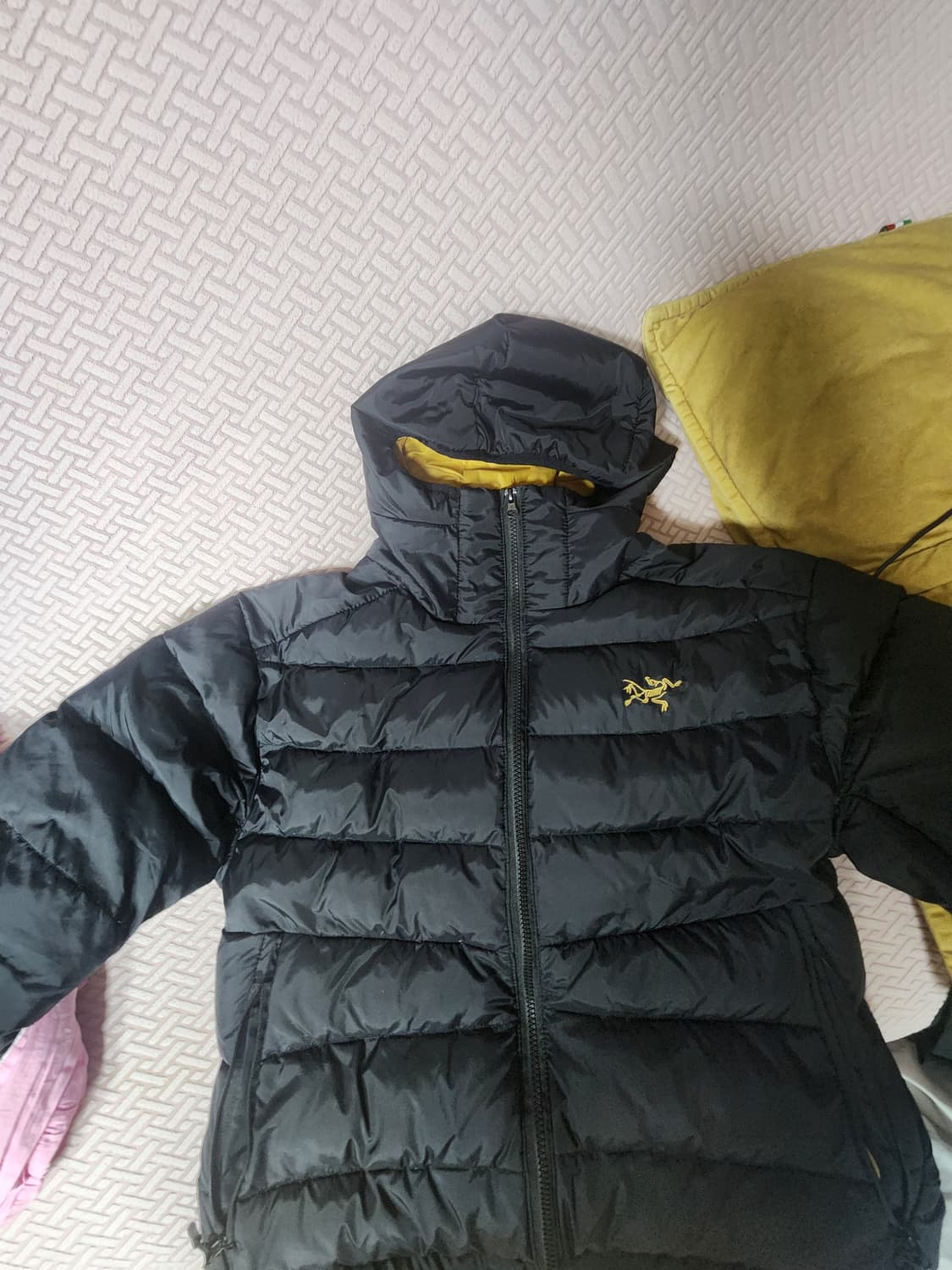 아크테릭스 24k 상품이미지3