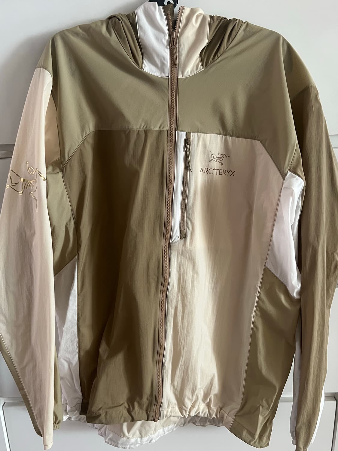 [L] 아크테릭스 x 빔즈 스쿼미시 후디 나고미 택보유중 상품이미지1