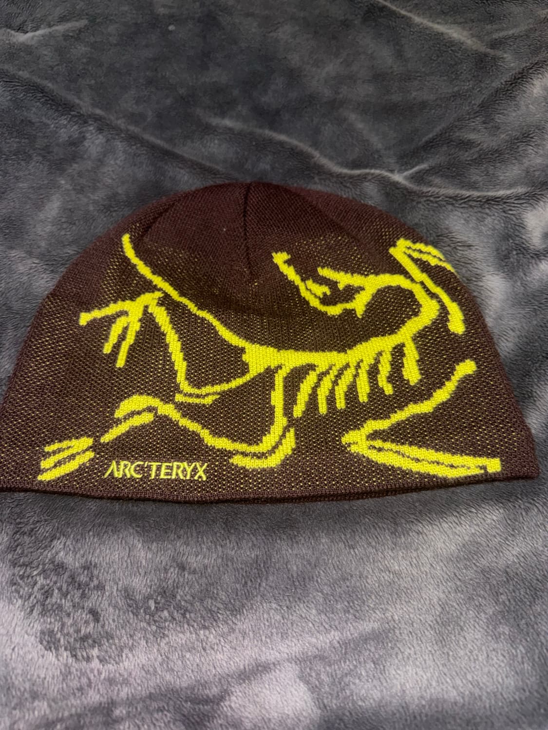 아크테릭스 버드헤드 토크 판타즘 유포리아 상품이미지1