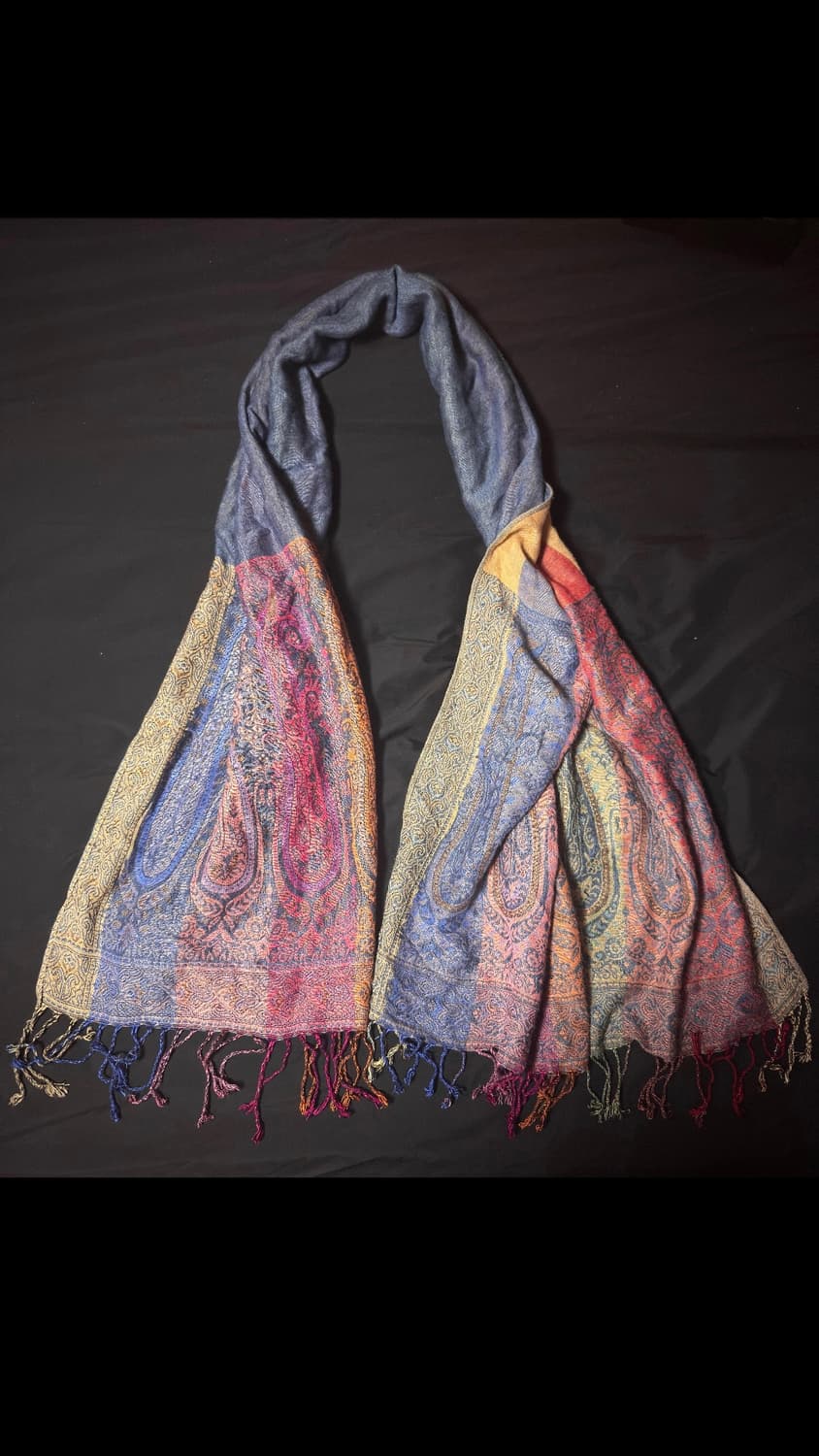 vtg Paisley Pashmina fringe Stole 상품이미지3