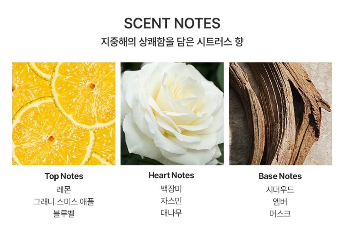 돌체앤가바나 라이트 블루 EDT 100ml 상품이미지2