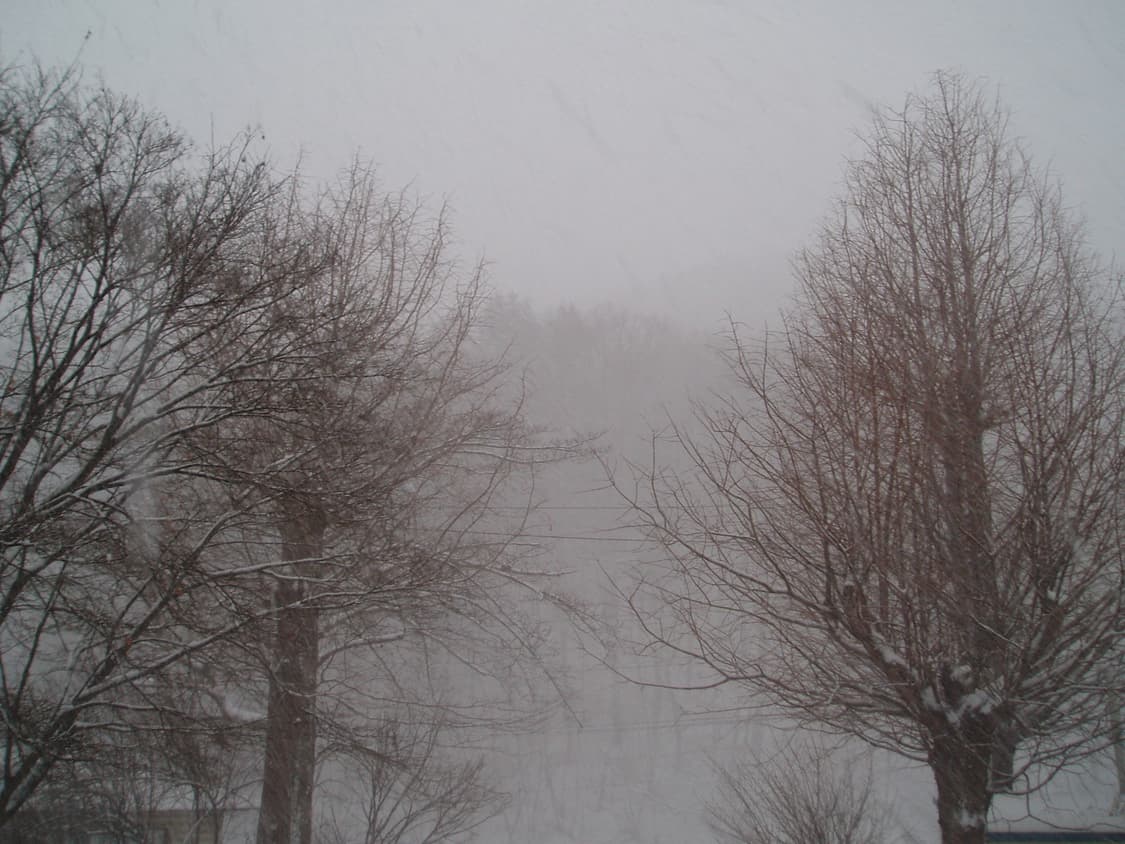 올림푸스 stylus 410 (작례O) 상품이미지6