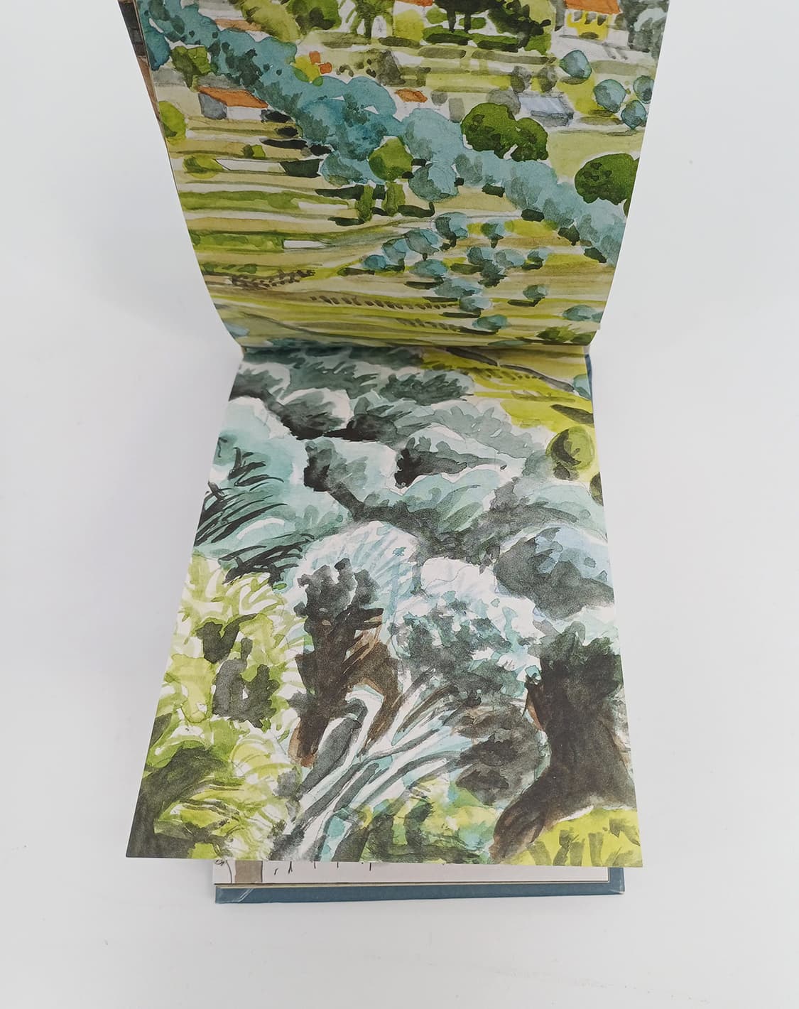 영국 예술가 앤 데스멧(Anne Desmet)이 이탈리아 디자인책 상품이미지2