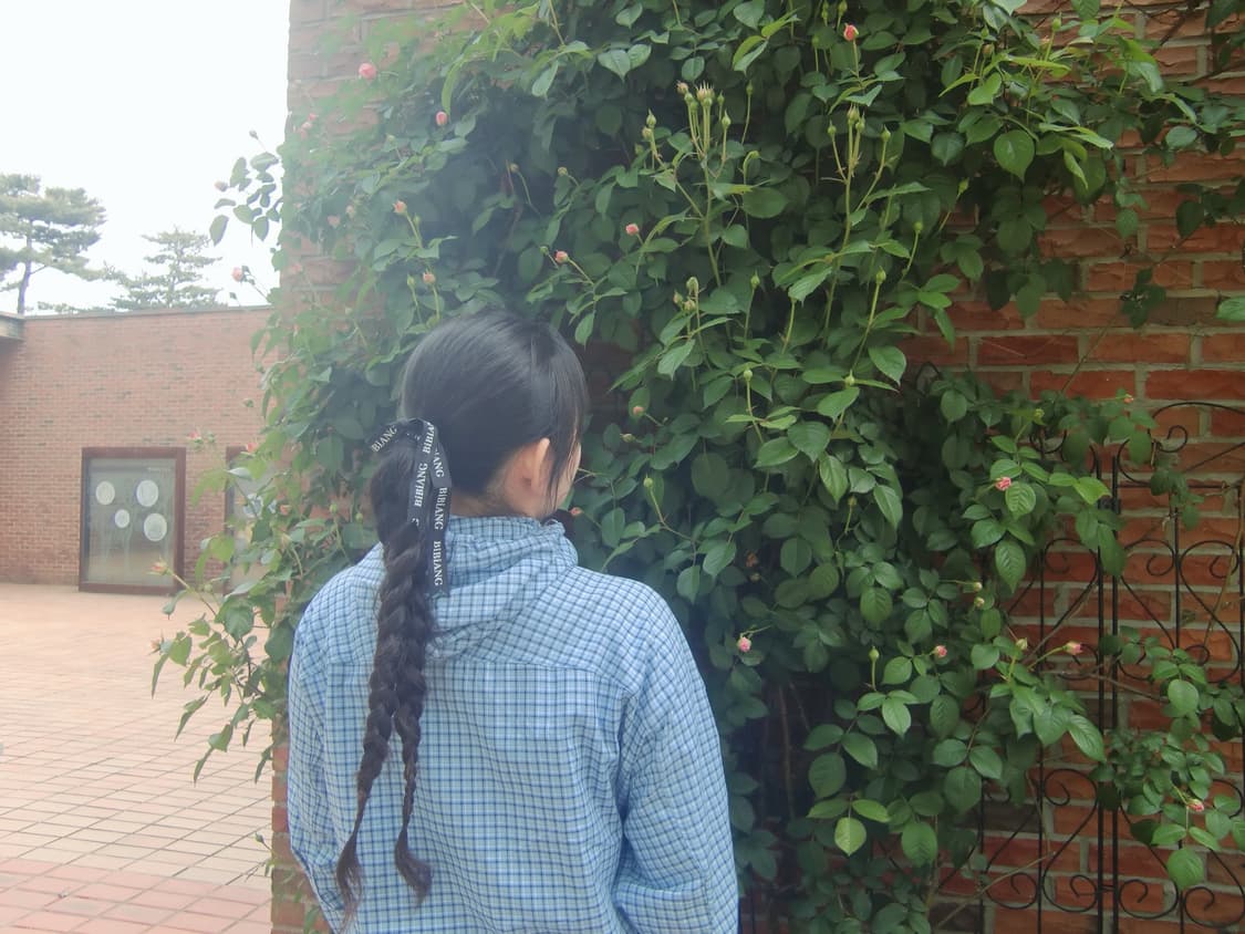 카시오 엑슬림 z450 디카 상품이미지3