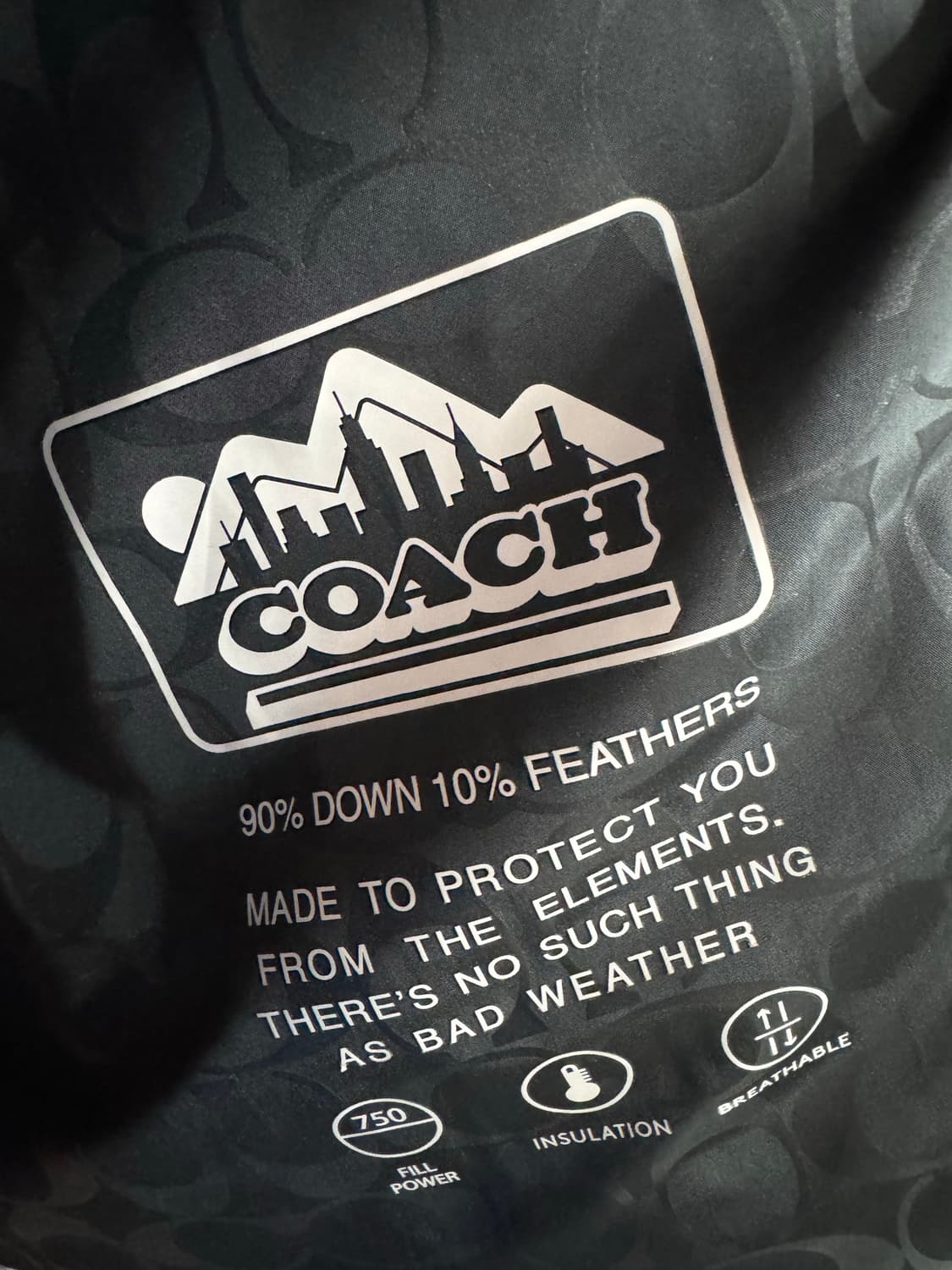 Coach 경량패딩 카키 S 상품이미지4