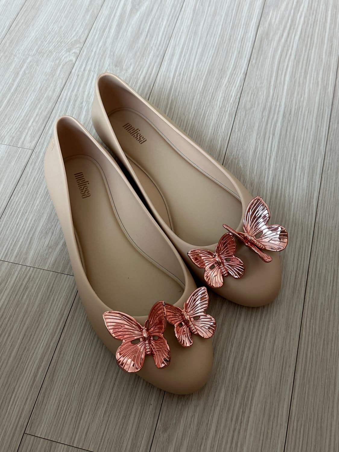 멜리사 245-250(8사이즈 ) 나비장식 상품이미지3