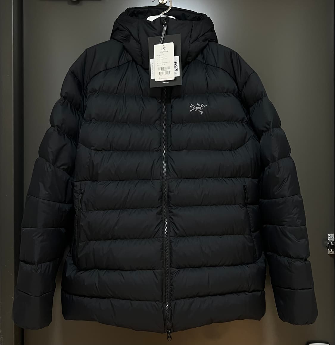 아크테릭스 토륨 후디 상품이미지3