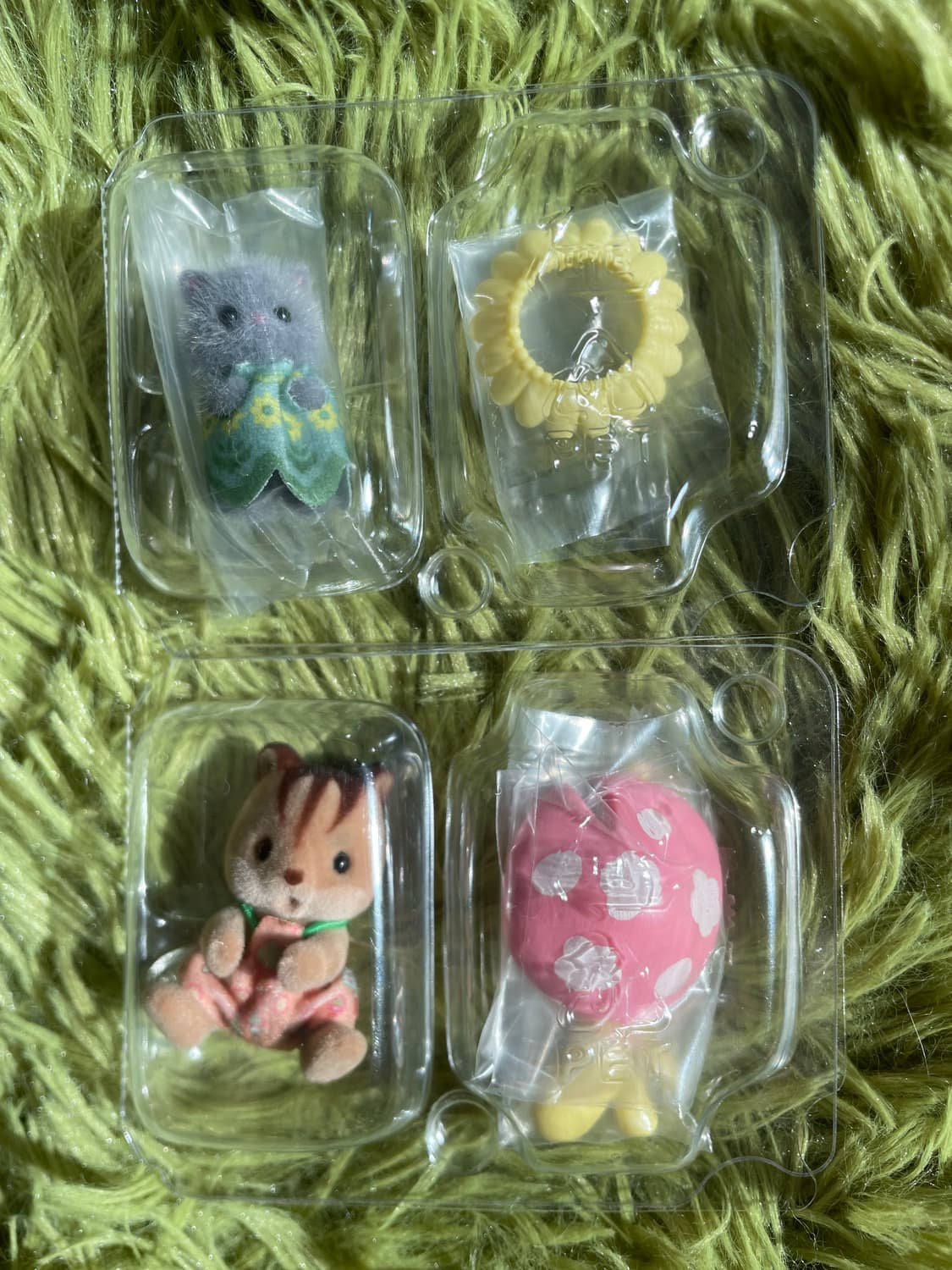 실바니안 요정의 숲 상품이미지1