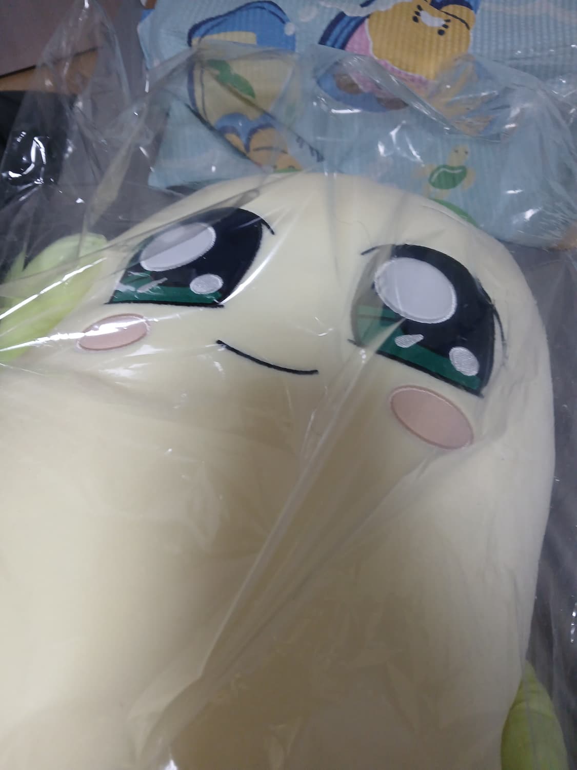 *꼭 안아줘요 양파쿵야 바디필로우* 상품이미지2