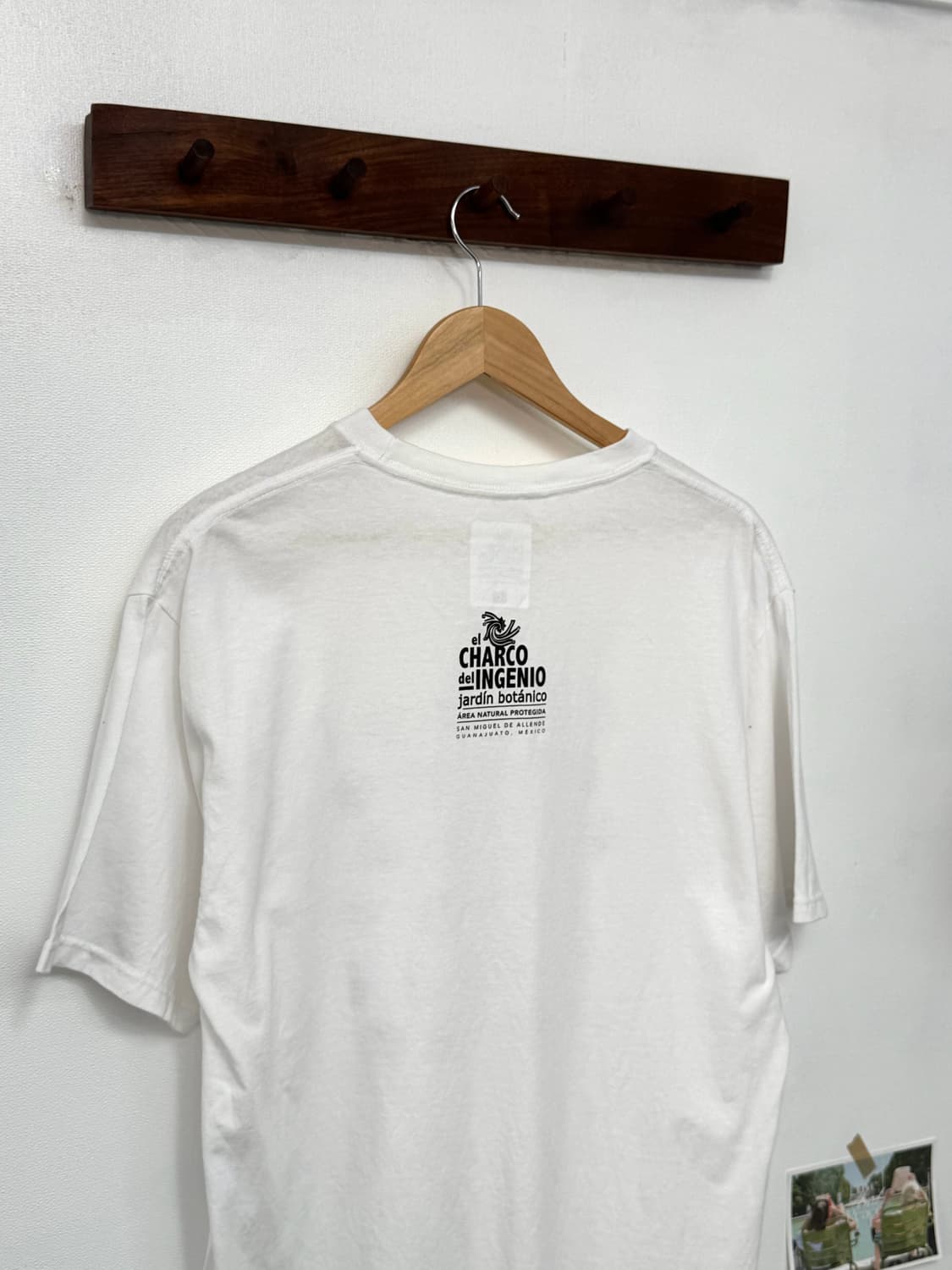 Plants T-shirt/T59 상품이미지3