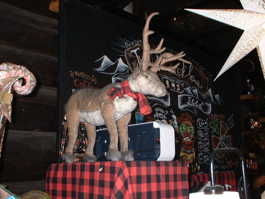 입문자 추천용! 파인피스 a202 상품이미지6