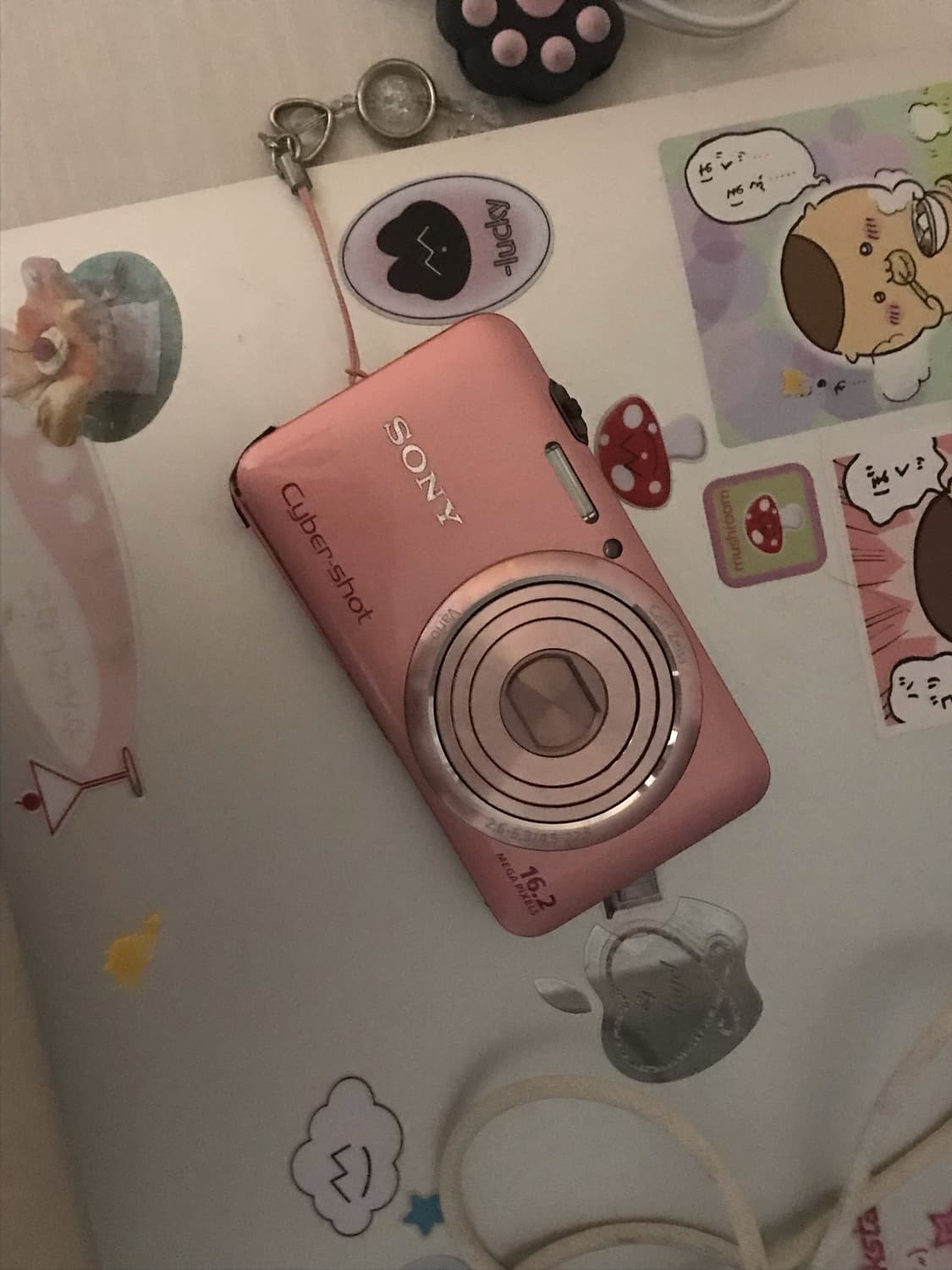 디지털 카메라 소니 사이버샷 DSC-W630 상품이미지1