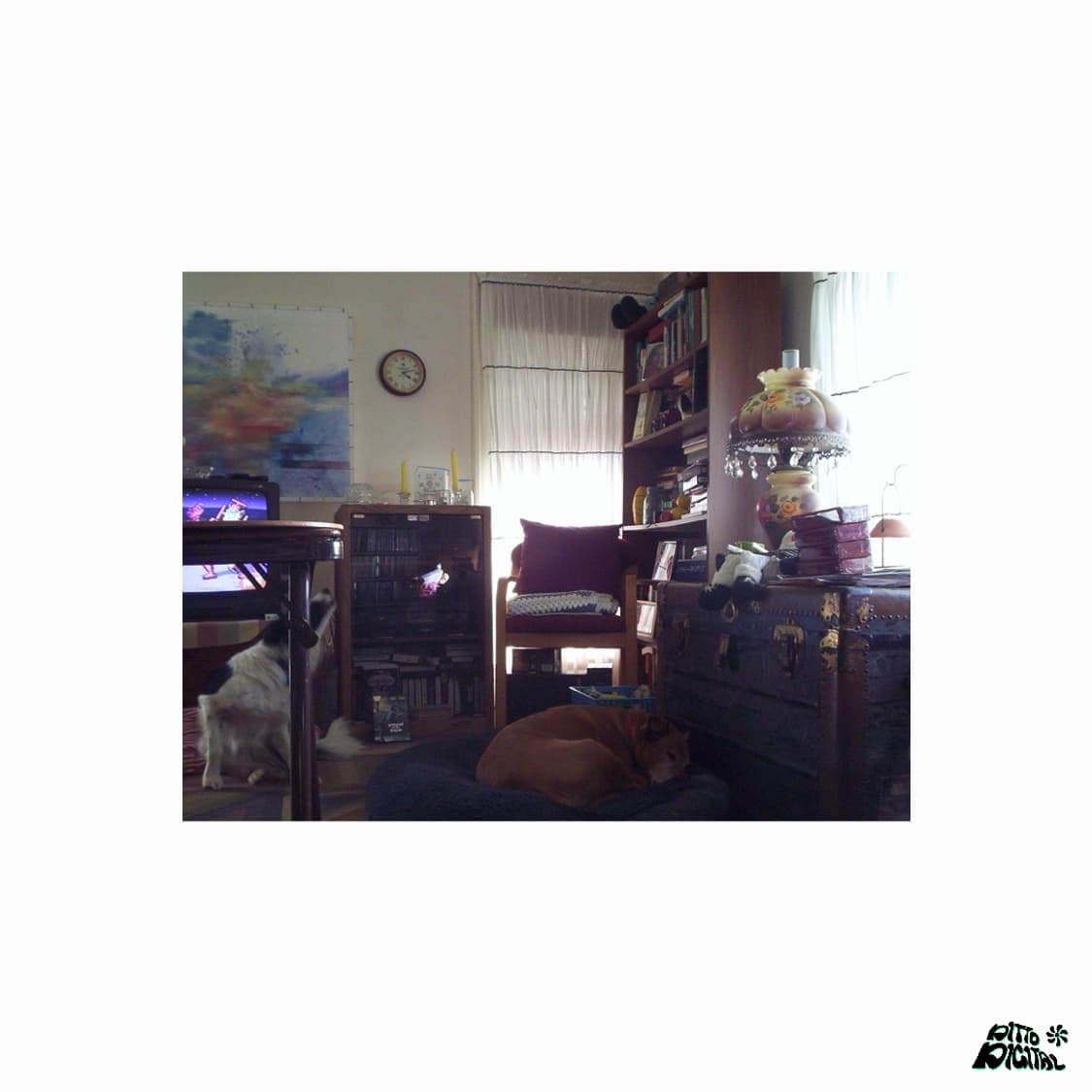 Kodak Easyshare CX6200디카 상품이미지7