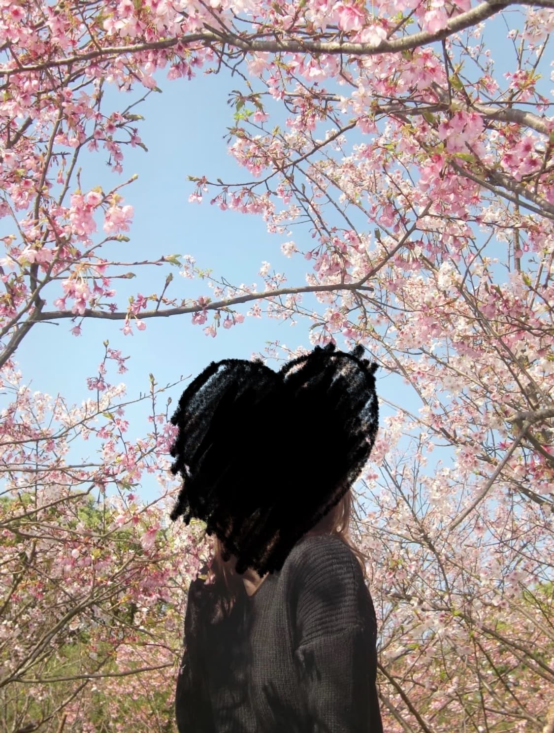 작례O 카시오 엑슬림 z300 핑크 casio exilim ex-z300 상품이미지9