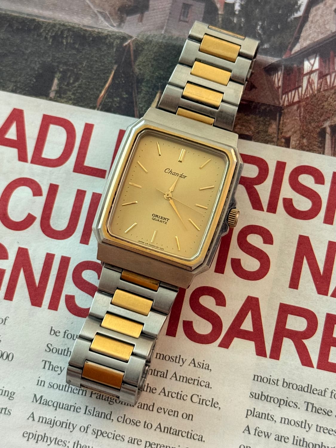 Orient 오리엔트 Chandor 샹도르 스퀘어 콤비 상품이미지1