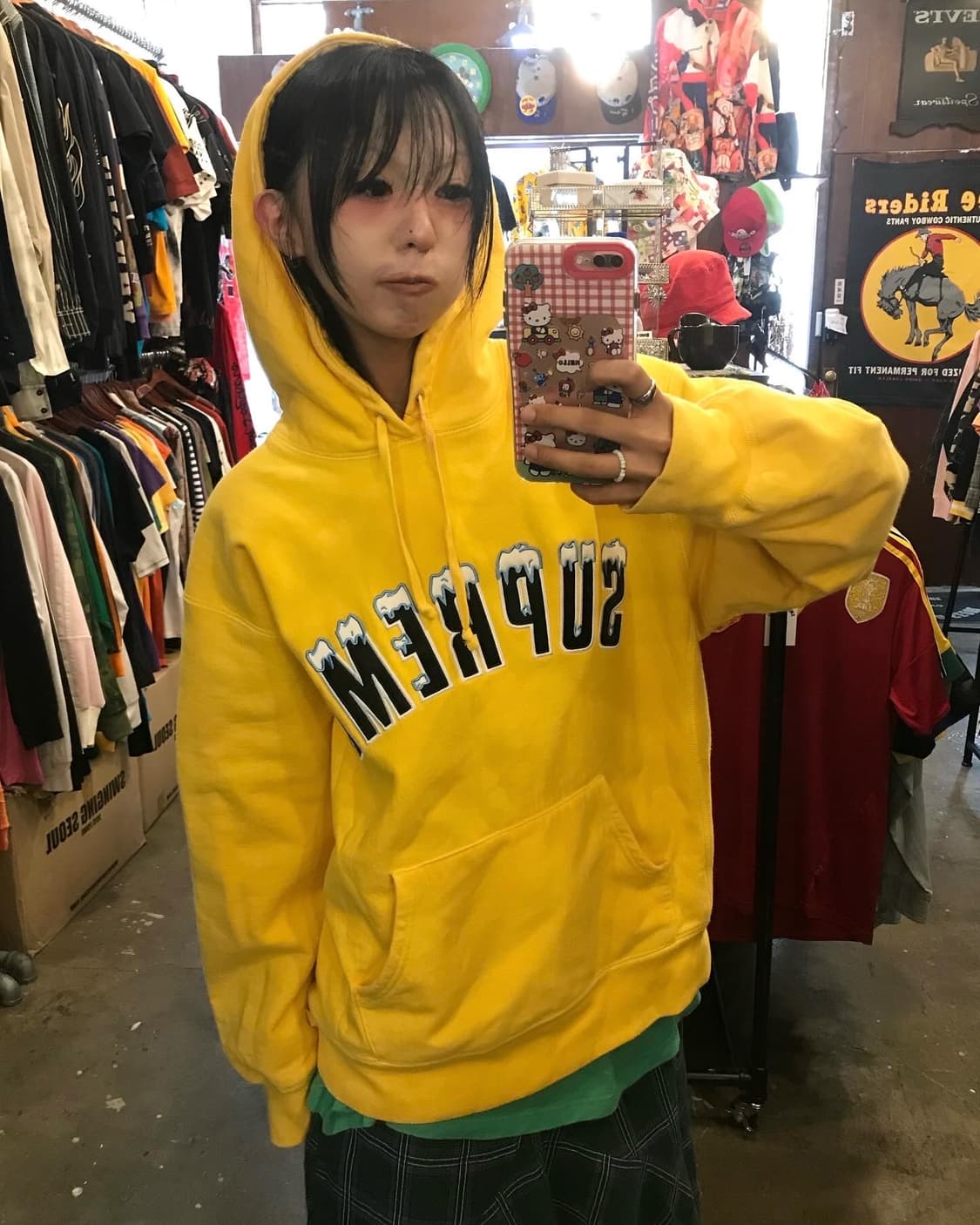 Supreme Icy Arc Hooded Sweatshirts  상품이미지6