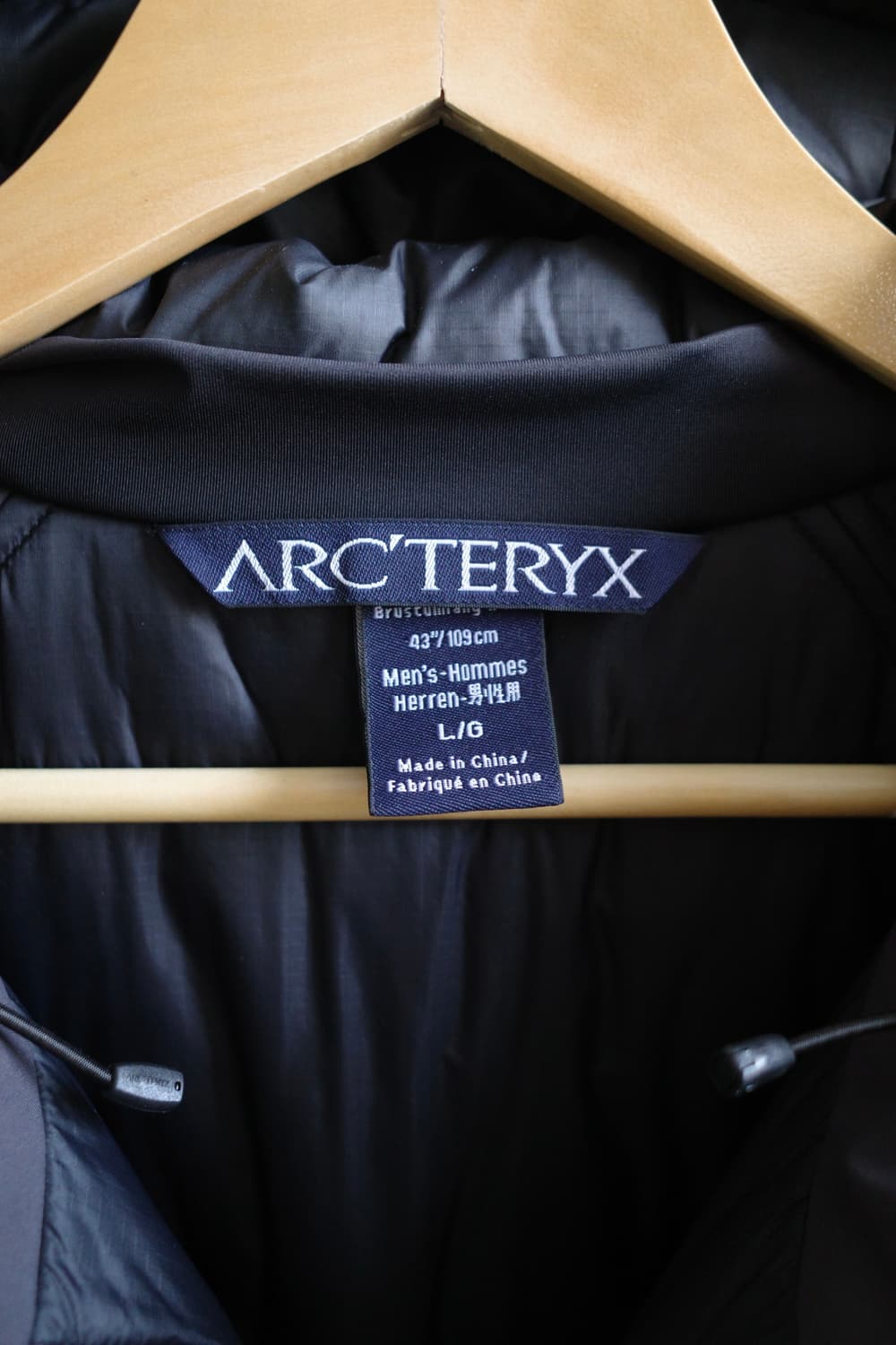 아크테릭스 카파 후디 상품이미지10