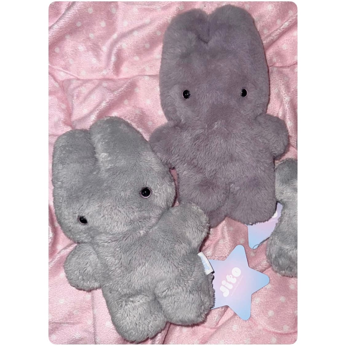 지초이 지토 오리지널 2024.ver 지프트샵 상품이미지1